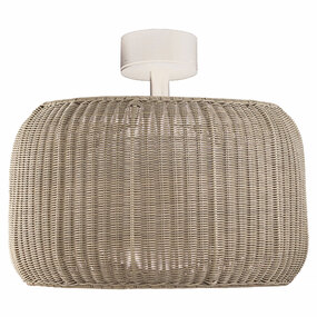 Fora Outdoor Ceiling Light